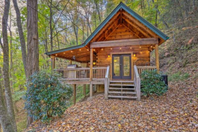 Charming Blue Ridge Cabin with Deck and Grill!